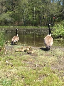 My new friends