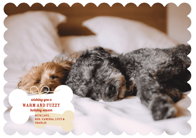 pet holiday cards