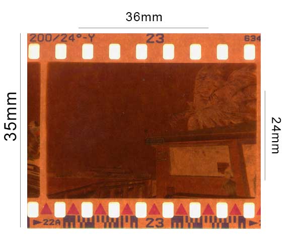 35mm negative with dimensions