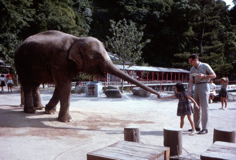 Slide-Memories-2_075