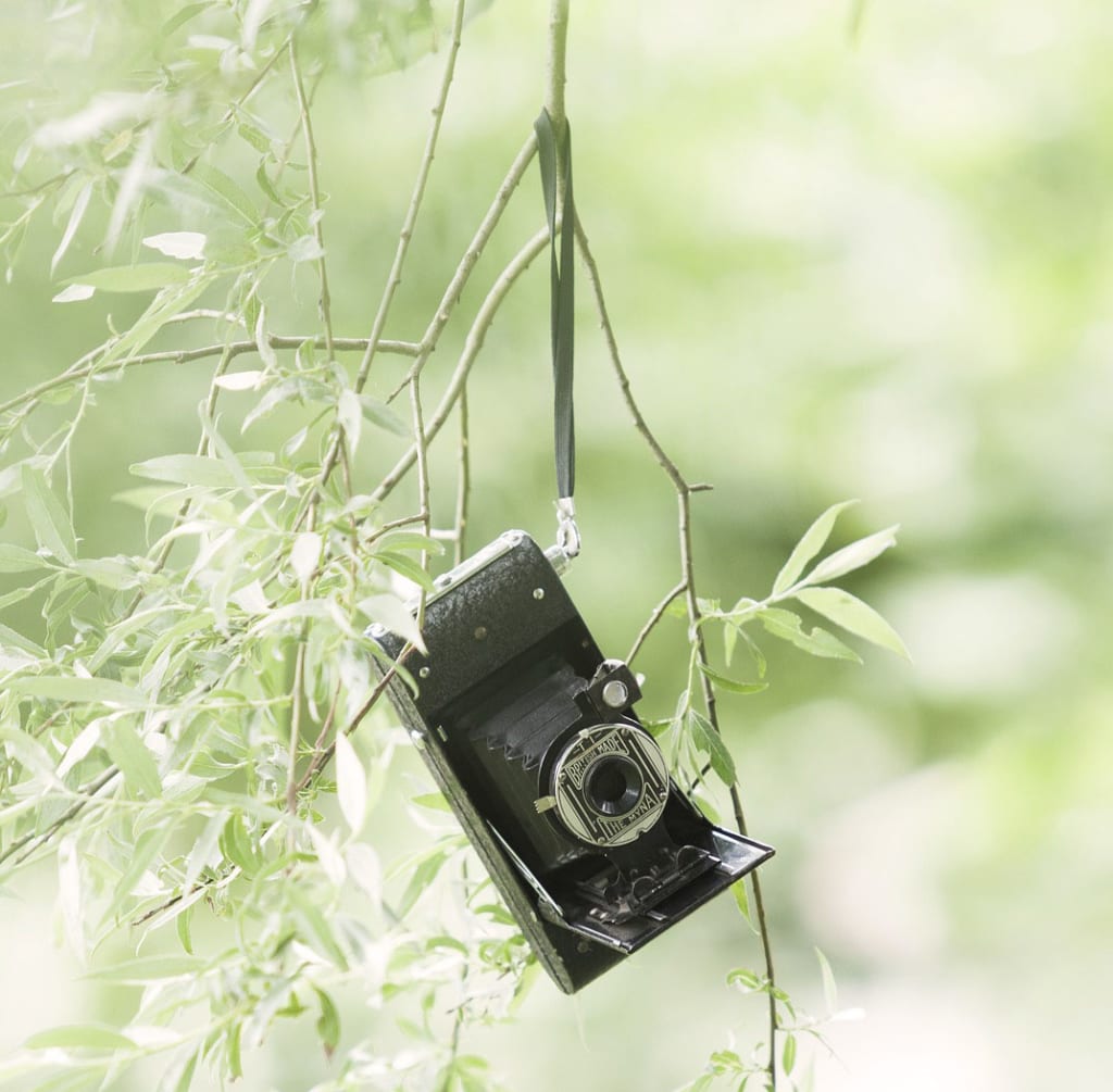 why develop film | camera hanging from tree