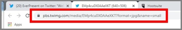 screenshot of the image URL in the address bar of the Twitter desktop site