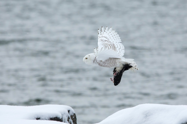 Best Resources for New Jersey Photo and Video Enthusiasts