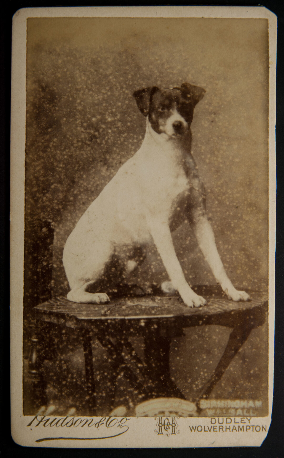 Carte de Visite Scan